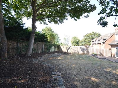 Picture 38